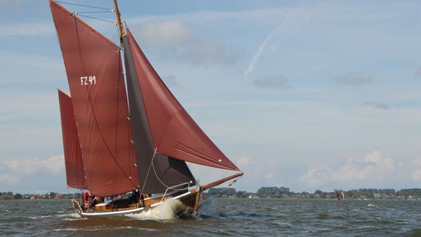 FZ41 Seriola, Volker Gries, Fischerregatta Althagen 2016 , 09/2016