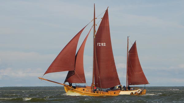 FZ82 Oma Else, Volker Gries, Fischerregatta Althagen 2016 , 09/2016