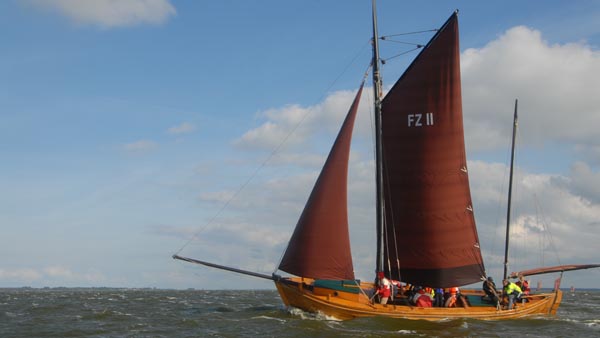 FZ11 Butt, Volker Gries, Fischerregatta Althagen 2016 , 09/2016