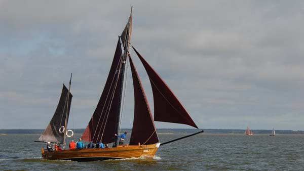 FZ33 Sannert, Volker Gries, Fischerregatta Althagen 2019 , 09/2019