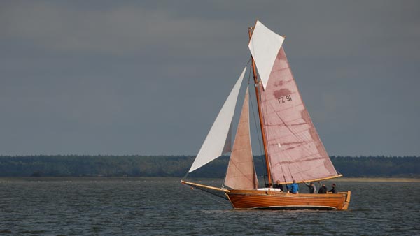 FZ91 De Meckelbörger, Volker Gries, Fischerregatta Althagen 2019 , 09/2019