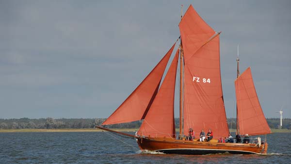 FZ84 Paula, Volker Gries, Fischerregatta Althagen 2019 , 09/2019