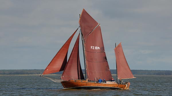 FZ52 Marie-Luise, Volker Gries, Fischerregatta Althagen 2019 , 09/2019