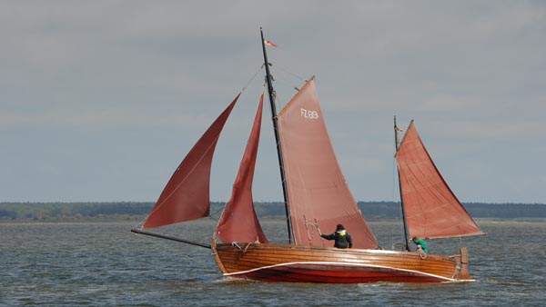 FZ89 Rerik, Volker Gries, Fischerregatta Althagen 2019 , 09/2019