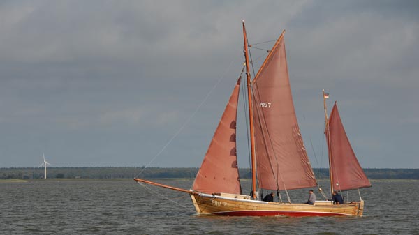 PRU7 Paula, Volker Gries, Fischerregatta Althagen 2019 , 09/2019