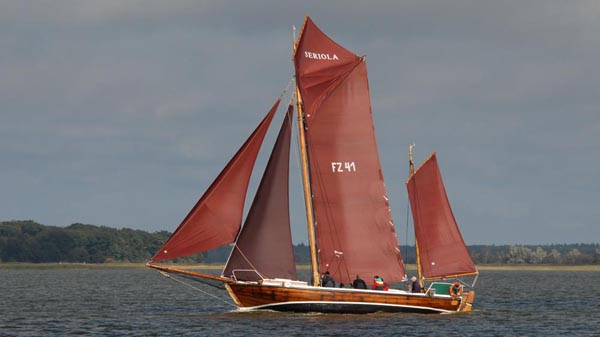 FZ41 Seriola, Volker Gries, Fischerregatta Althagen 2019 , 09/2019