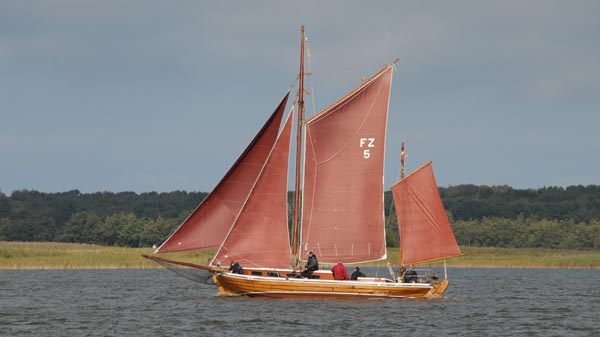 FZ5 Borsgrieper, Volker Gries, Fischerregatta Althagen 2019 , 09/2019