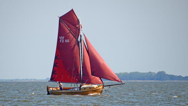 FZ65 Nordischer Löwe, Volker Gries, Fischerregatta Althagen 2023 , 09/2023