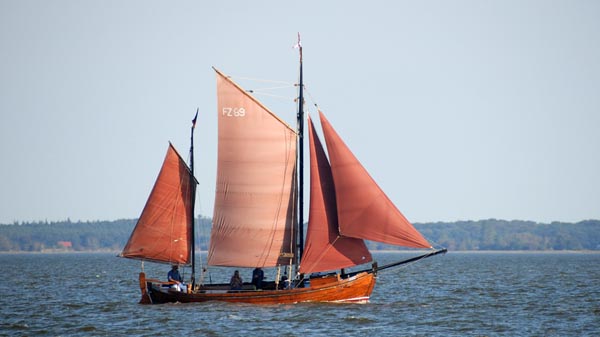 FZ89 Rerik, Volker Gries, Fischerregatta Althagen 2023 , 09/2023