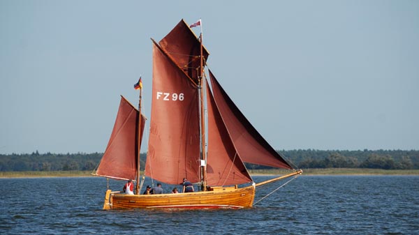 FZ96 Herta, Volker Gries, Fischerregatta Althagen 2025 , 09/2025