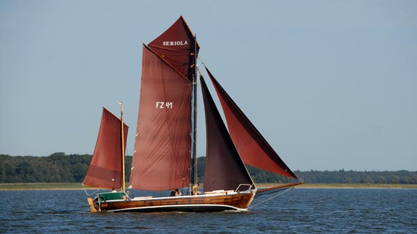 FZ41 Seriola, Volker Gries, Fischerregatta Althagen 2025 , 09/2025
