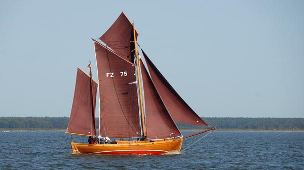 FZ75 Marie, Volker Gries, Fischerregatta Althagen 2025 , 09/2025