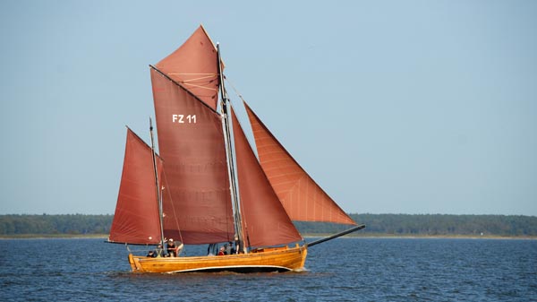FZ11 Butt, Volker Gries, Fischerregatta Althagen 2025 , 09/2025