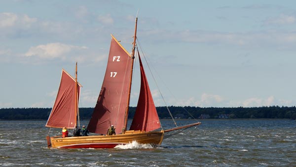 FZ17 Lütte, Volker Gries, Zeesenbootregatta Bodstedt 2022 , 09/2022