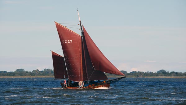 FZ23 Stella, Volker Gries, Zeesenbootregatta Bodstedt 2022 , 09/2022