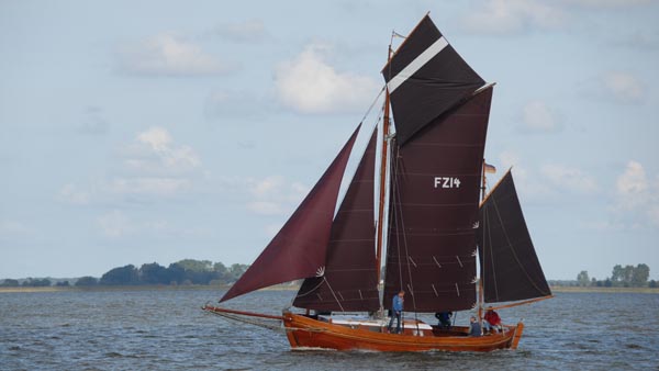 FZ14 Hanne Nüte, Volker Gries, Zeesboot Regatta Bodstedt 2017 , 09/2017