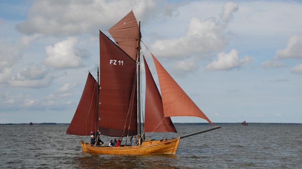 FZ11 Butt, Volker Gries, Zeesboot Regatta Bodstedt 2017 , 09/2017