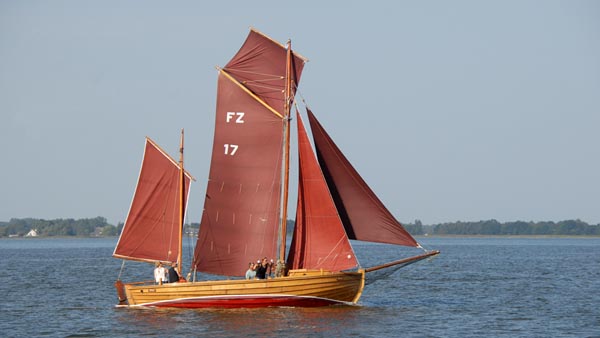 FZ17 Lütte, Volker Gries, Bodstedt 2024 , 09/2024