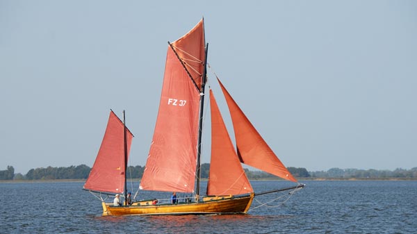 FZ37 Krischan, Volker Gries, Bodstedt 2024 , 09/2024