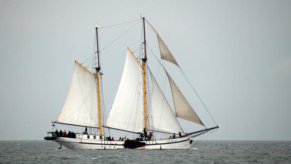 Zeemeeuw, Volker Gries, Harlingen-Terschelling 2023 , 10/2023