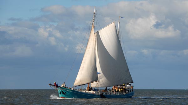 Utopia, Volker Gries, Harlingen-Terschelling 2023 , 09/2023