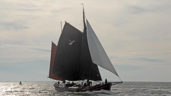 Zwarte Valk, Volker Gries, Brandarisrace 2014 , 10/2014