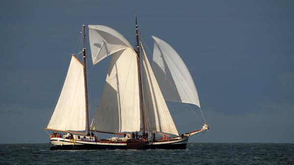 Eensgezindheid, Volker Gries, Brandarisrace 2025 , 10/2025
