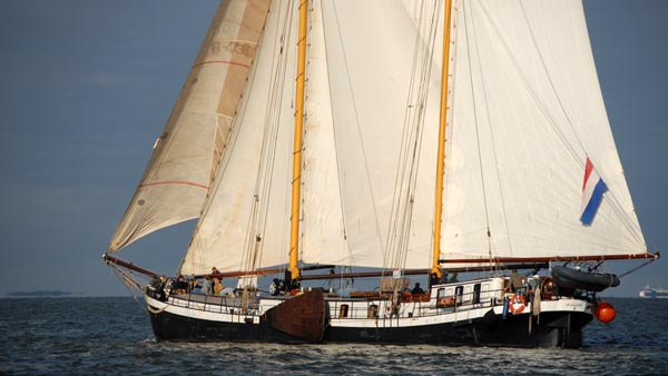 Actief, Volker Gries, Brandarisrace 2025 , 10/2025