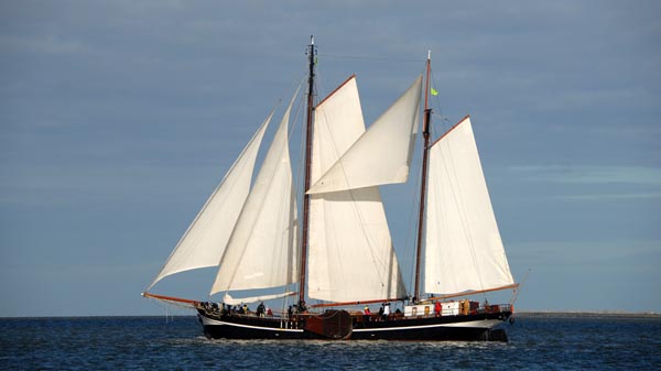 Passaat, Volker Gries, Brandarisrace 2025 , 10/2025