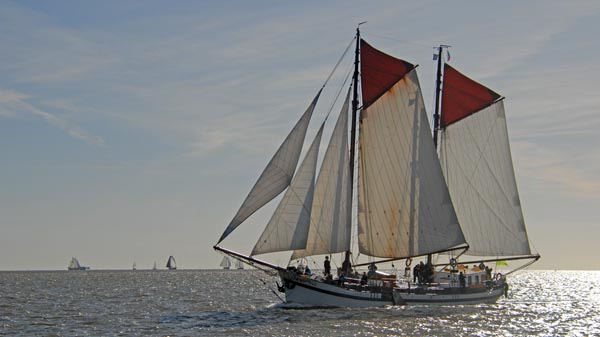 De Zeven Wouden, Volker Gries, Brandarisrace 2025 , 10/2025
