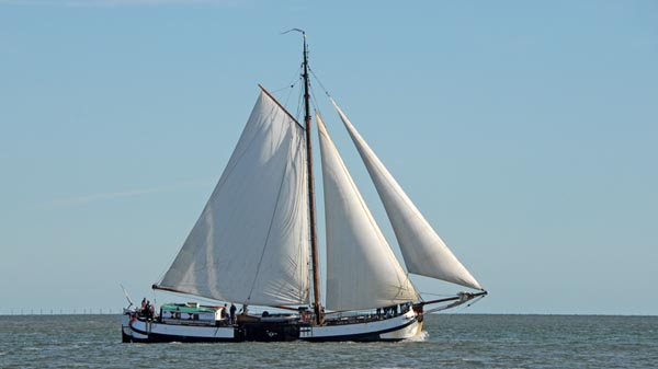 Spes Mea, Volker Gries, Brandarisrace 2025 , 10/2025