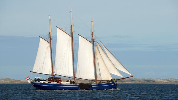 Morgana, Volker Gries, Brandarisrace 2025 , 10/2025