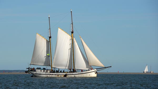 Zeemeeuw, Volker Gries, Brandarisrace 2025 , 10/2025