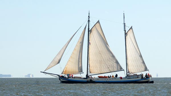 Margot, Volker Gries, Brandarisrace 2025 , 10/2025