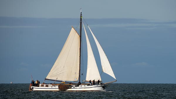 Bonte Piet, Volker Gries, Brandarisrace 2025 , 10/2025