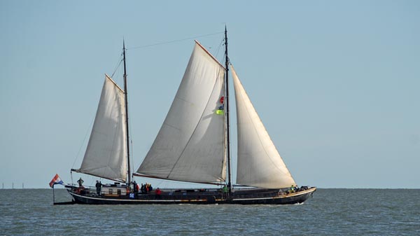 Alida, Volker Gries, Brandarisrace 2025 , 10/2025