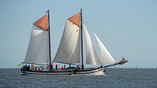De Zeven Wouden, Volker Gries, Brandarisrace 2025 , 10/2025