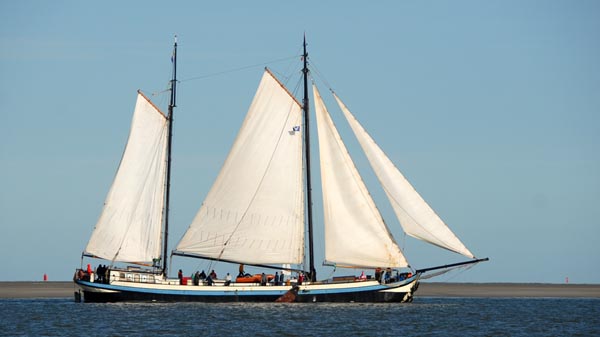 Margot, Volker Gries, Brandarisrace 2025 , 10/2025