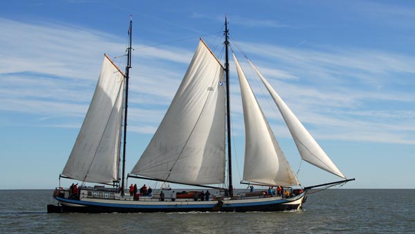 Margot, Volker Gries, Brandarisrace 2025 , 10/2025