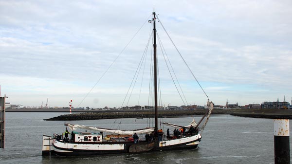 Larus, Volker Gries, Brandarisrace 2025 , 10/2025