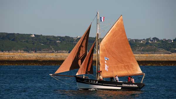 Corbeau des Mers AY1684, Volker Gries, Sail Brest 2016 , 07/2016