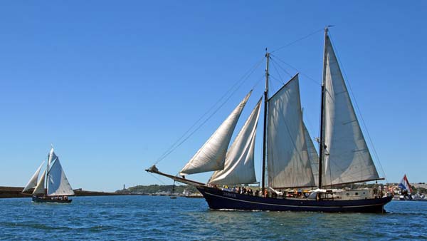 Zephyr, Volker Gries, Sail Brest 2016 , 07/2016