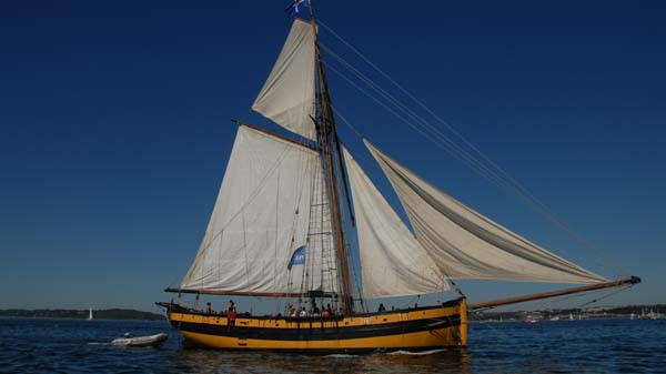 Le Renard, Volker Gries, Sail Brest 2016 , 07/2016