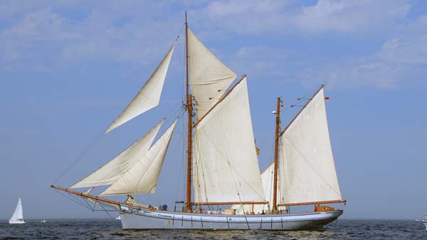 Irene, Volker Gries, Sail Brest 2016 , 07/2016