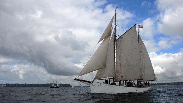 Saltillo, Volker Gries, Fêtes Maritimes Brest 2024 , 07/2024