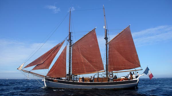 Ruth, Volker Gries, Fêtes Maritimes Brest 2024 , 07/2024