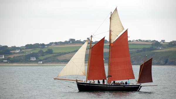 Neire Mâove, Volker Gries, Temps fete Douarnenez 2016 , 07/2016