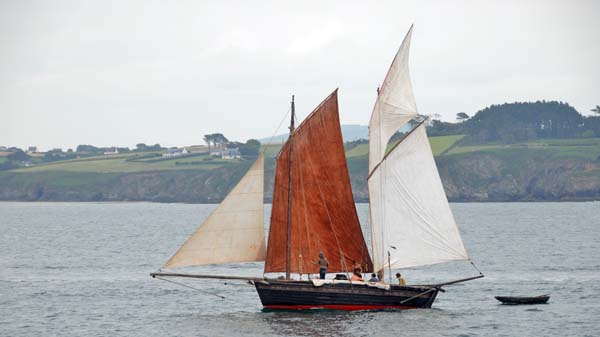 Rose of Argyll, Volker Gries, Temps fete Douarnenez 2016 , 07/2016