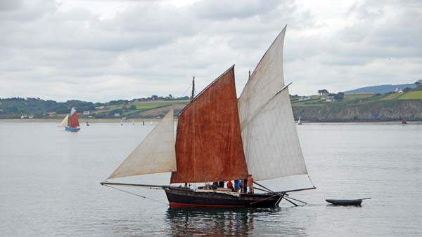 Rose of Argyll, Volker Gries, Temps fete Douarnenez 2016 , 07/2016