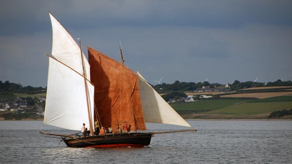 Rose of Argyll, Volker Gries, Temps fete Douarnenez 2016 , 07/2016